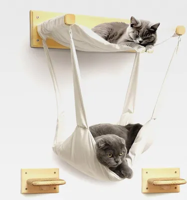 Produktbild von myHANA Kletterwand für Katzen aus Massivholz – inkl. 2X Katzentreppe & Hängematte | Katzenmöbel Set Wand | Katzenbett & Kratzbaum Wandmontage| Jetzt entdecken!