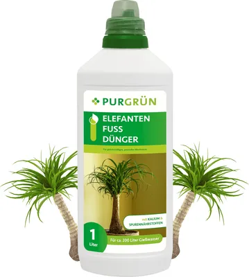 Calathea-Dünger 1 Liter – Flüssigdünger NPK 10+4+6 Mit Spurennährstoffen Für Intensive Blattfarbe