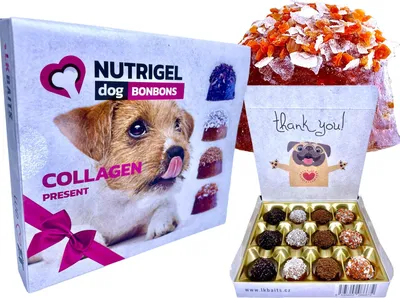 Obrázek produktu pro LK Baits Pet NUTRIGEL Collagen Bonbons - Kolagenová bonboinéra pro větší psy