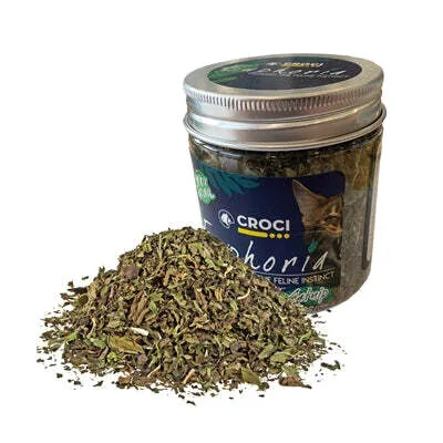 Image de Pot d'herbe à chat Croci Euphoria