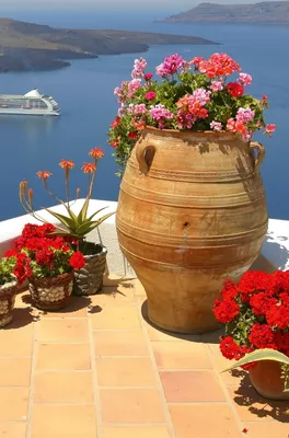 Produktbild von Fototapete - Greece 150x250cm - Vliestapete