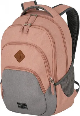 Obrázek produktu pro Travelite Městský batoh Basics Melange Rose/grey 22 l