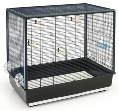 Obrázok produktu pre Nobby 20710, Andulka, Čierna, Kovová, Kov, Plast, 800 mm, 500 mm, 700 mm