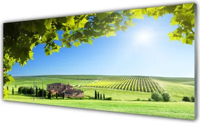 Produktbild von Acrylglasbilder 125x50 Wandbild Druck Ackerfeld Blätter Landschaft