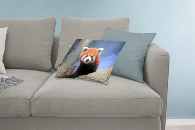 Produktbild von MuchoWow® Zierkissen Sofakissen Wohnzimmer Dekokissen 60x40 cm Roter Panda - Orange - Baum - Kopfkissen - Polster mit Foto