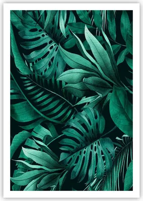 Produktbild von Poster - Poster ohne Rahmen - Blätter Grafiken Monstera - 70x100 cm - Wand Bild - Wanddeko - Wandbilder - Kunstposter - Wandposter - Bilder - Kunstdruck - Wanddekoration - Wandbild - P2XPA70x100-4886
