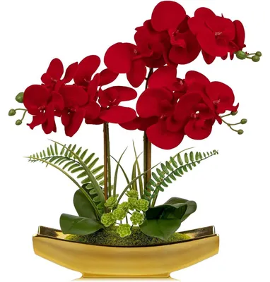 Image de Orchidée artificielle Phalaenopsis en pot, rouge, pot doré, 38 cm