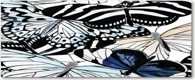 Produktbild von Tulup® Leinwandbild - 125x50 cm - Wandkunst - Drucke auf Leinwand - Leinwanddruck  - Tiere - Schwarz - Schmetterling Blumen