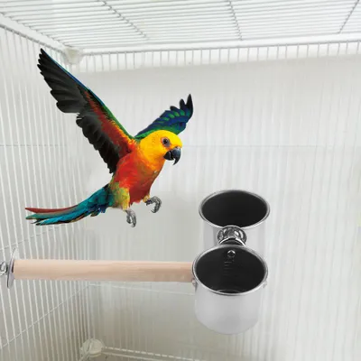 Image de Coupes d'eau pour oiseaux, coupes en inox pour oiseaux, coupes à pince pour oiseaux, coupes pour perroquets, coupes en inox pour perroquets