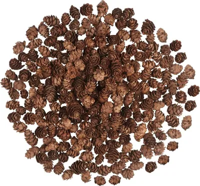Productafbeelding van Natuurlijke dennenappels voor Kerstmis - Set van 200 - Herfst - Winter - Thanksgiving - Bruiloftsdecoratie - Ornamenten