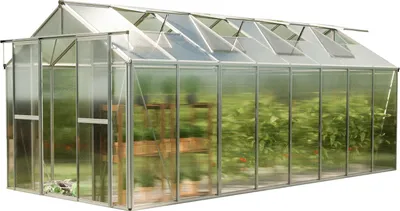 Produktbild von GFP Gewächshaus SAPHIR 8 aus Alu 259x513 cm ca. 8 mm Doppelstegplatten formstabil & witterungsbeständig