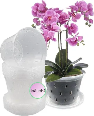 Immagine prodotto di Vasi trasparenti per orchidee - Fori di drenaggio - 14 pezzi - Ø 14 cm