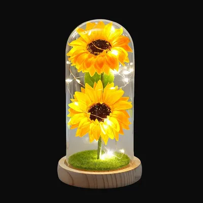 Produktbild von LED Sonnenblumen in Acrylglocke – Ewige Blumen, romantisches Geschenk zu Valentinstag, Weihnachten & Hochzeit