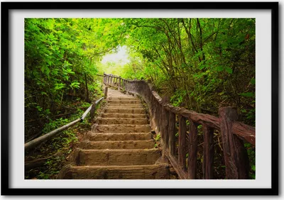 Produktbild von Bild - Bilder - Bilderrahmen - 70 cm x 50 cm - MDF-Rahmen, Wandkunst Treppen im Wald