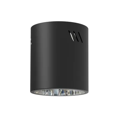Image de Spot rond noir pour plafond Ø14cm 1xE27 60W George Milagro