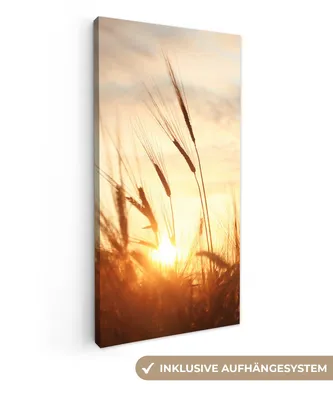 Produktbild von MuchoWow® - Leinwandbilder - Schilf - Gras - Sonnenuntergang - Natur - Horizont, Wandbild, Wanddeko Bilder Wohnzimmer, 40x80 cm