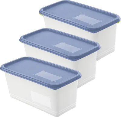 Produktbild von Rotho 3er Set Gefrierdosen mit Deckel Domino - Frischhaltedosen 1,5 L - Vorratsdosen 23,5 x 12,0 x 7,6 cm - Gefrierbehälter Aufbewahrungsboxen
