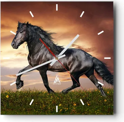 Produktbild von Wanduhr - Quadrat - Glasuhr - Pferd Tier Wiese - 30x30cm - Schleichendes Uhrwerk - Lautlos - zum Aufhängen bereit - Dekoration Modern - Wanddekoration aus Glas - C3AC30x30-2608