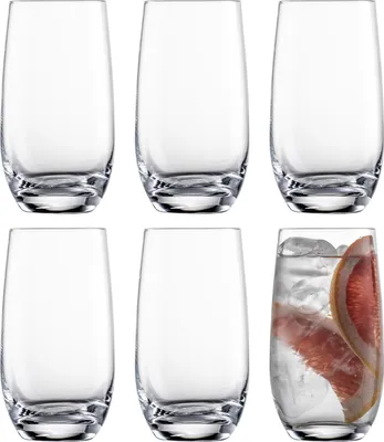 Zdjęcie produktu dla Eisch Vorteilset 2 Stück Longdrinkglas 550/13 - 6 Stück im Karton VINEZZA 25507130 und Geschenk + Spende