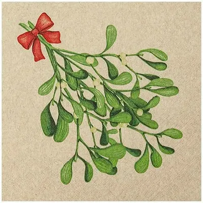 Produktbild von 20 Servietten Eco Line Mistletoe Twigs - Grüner Mistelzweig 33x33cm