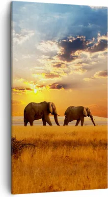 Produktbild von Bild auf Leinwand - Leinwandbild - Elefanten Safari Dschungel Busch - 45x80cm - Wand Bild - Wanddeko - Leinwanddruck - Bilder - Kunstdruck - Wanddekoration - Leinwand bilder - Wandkunst - PA45x80-3150