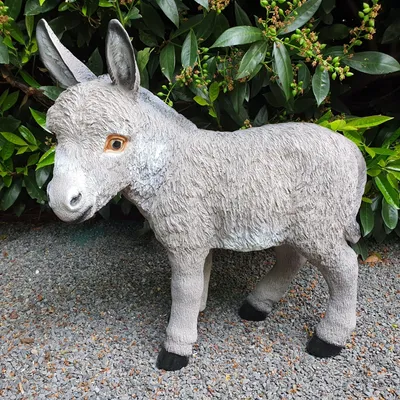 Produktbild von Gartenfigur Esel Figur grau 50 cm