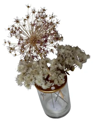 Produktbild von Vase mit Lochdeckel für Trockenblumen