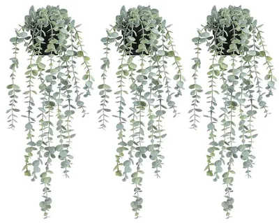 Productafbeelding van COCOBOO Kunstplanten, kunstmatige eucalyptusplanten om op te hangen, etc