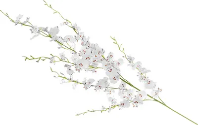 Image de Fleur d'Orchidée Artificielle Faux Soie Orchidée Dansante Longue Tige 7 Branches pour Maison Mariage Bureau Fête Décoration Intérieur Extérieur Blanc