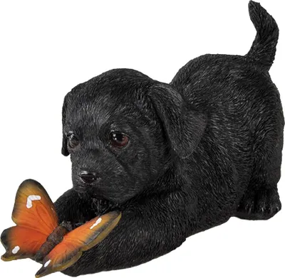 A black puppy playing with an orange butterfly.