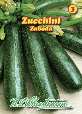 Artikelbild 1 von 'Zucchini Zuboda' aus der Kategorie Zucchinisamen
