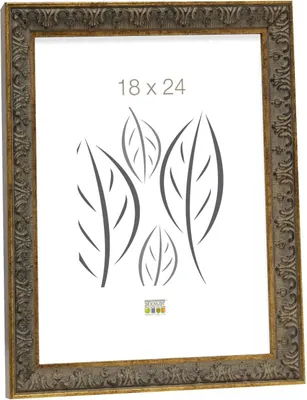 Produktbild von Deknudt Bilderrahmen, gold-grauer Kunststoff, 18x24 cm, Modell S95MA