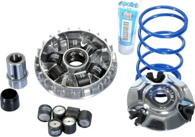 Produktbild von Polini Variator Hi-Speed kompatibel mit Piaggio Beverly 125, Aprilia Sportcity 125