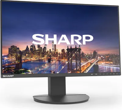 Sharp MultiSync EA241F Computerbildschirm 61 cm (24") 1920 x 1080 Pixel Full HD LCD Schwarz