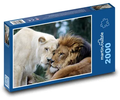 Obrázek produktu pro martinpuzzle - Puzzle 2000 - Lev a lvice