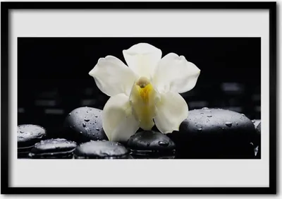 Produktbild von Bild 100x70 MDF-Rahmen Wandkunst Blume Orchidee Pflanze