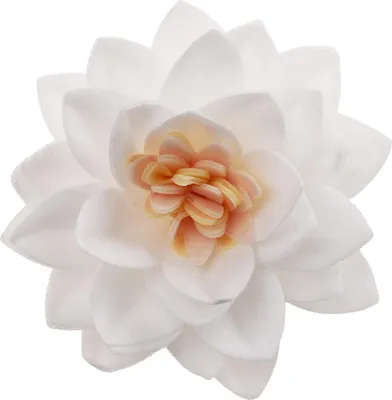 Produktbild von Weiße Esspapierblumen 7cm 15Stk weiß