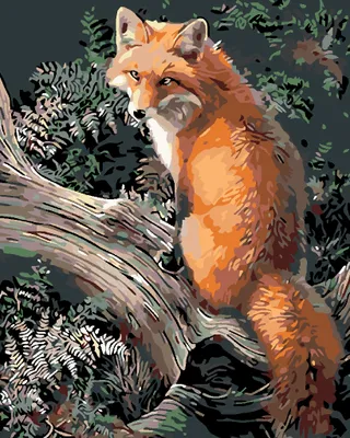 Produktbild von Zuty - Malen nach Zahlen - FUCHS, 40x50 cm, ohne Keilrahmen