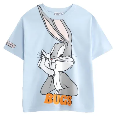 Obrázok produktu pre Looney Tunes – tričko pre chlapcov NS9918 (134) (modré)
