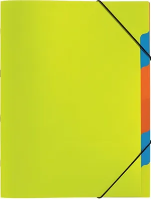 Produktbild von PAGNA Ordnungsmappe Funky School 41803-17 A4 5Fächer PP lindgrün