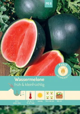 Produktbild von Pabst Keimkraft - Wassermelone früh & kleinfrüchtig Sugar Baby Samen - 171275