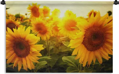 Produktbild von MuchoWow® Wandteppich Wandbehang Sonnenblume - Gelb - Blumen - Sonne 120x80 cm Tapisserie Dekoration Wandtuch - Wanddekorationen - Wandtücher