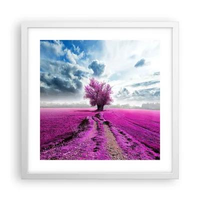 Produktbild von Gerahmtes Poster - Weißer Rahmen - Heidefeld Baum Wolken Landschaft - 40x40 cm - Wand Bild - Wanddeko - Wandbilder - Wandposter - Bilderrahmen - Bilder - Kunstdruck - Wandbild - P2WAC40x40-2547