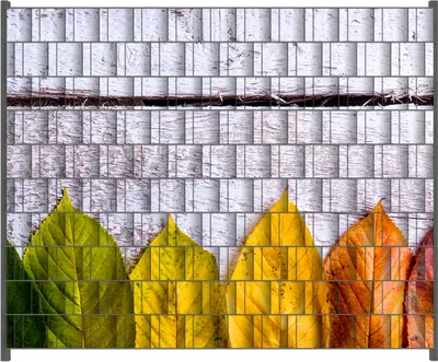 Produktbild von Wallario Zaunsichtschutz mit Motiv Bunte Herbstblätter auf hellem Holz für Ein- und Doppelstabmatten Zäune in der Größe 250 x 200 cm