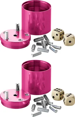 Produktbild von BestSaller 3008 SUPER SIX Würfelspiel Aluminum, 36 Spielstäbchen & 2 Würfel, pink (2 Stück)