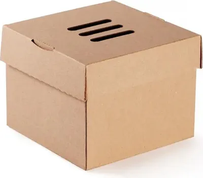 Image de Burgerbox pliable 15 x 15 x 10 cm 100 pièces.