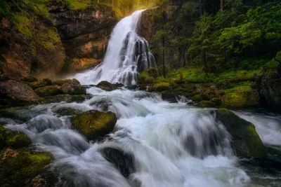 Image de Sanders & Sanders papier peint panoramique cascade vert, blanc et marron 375 x 270 cm