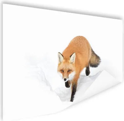 Produktbild von MuchoWow® Poster Fuchs - Schnee - Winter 60x40 cm - Schlafzimmerdekoration