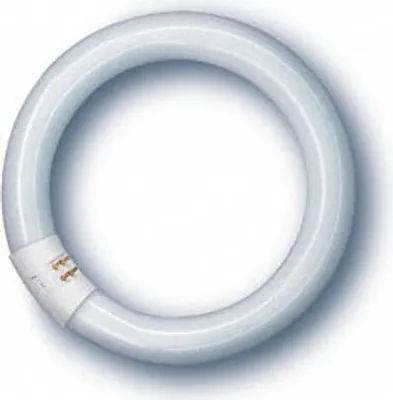 Image de OSRAM LAMPE Lampe fluorescente L 22W/865 C
