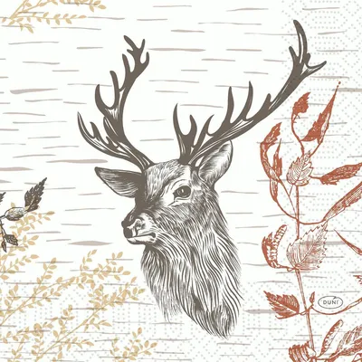 Immagine prodotto di SV.ZT.33X33 3L Wood&Deer 250ST